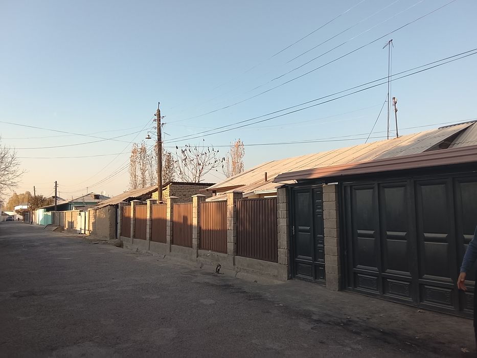 Срочна 8 сотихли ховли сотувга чикти