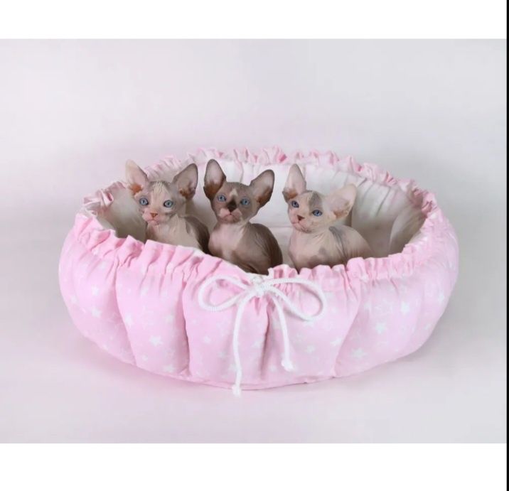 Домик лежачок для собаки и кошки