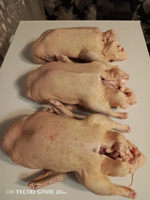 Продам мясо уток