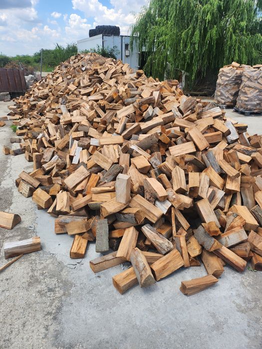 Oferte Reduceri Stock Limitat