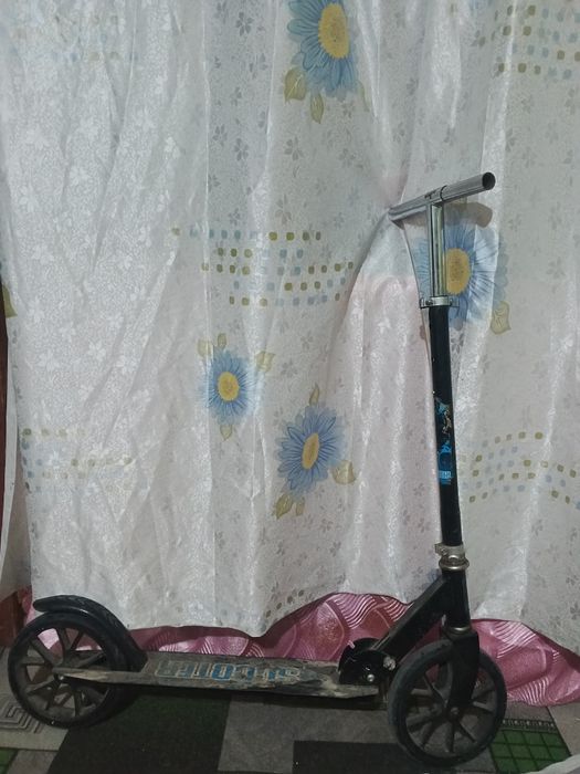 Samakat 2 ta qora va yashil