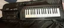 Korg RK 100 S 2,keyboard,claviatură,keytar