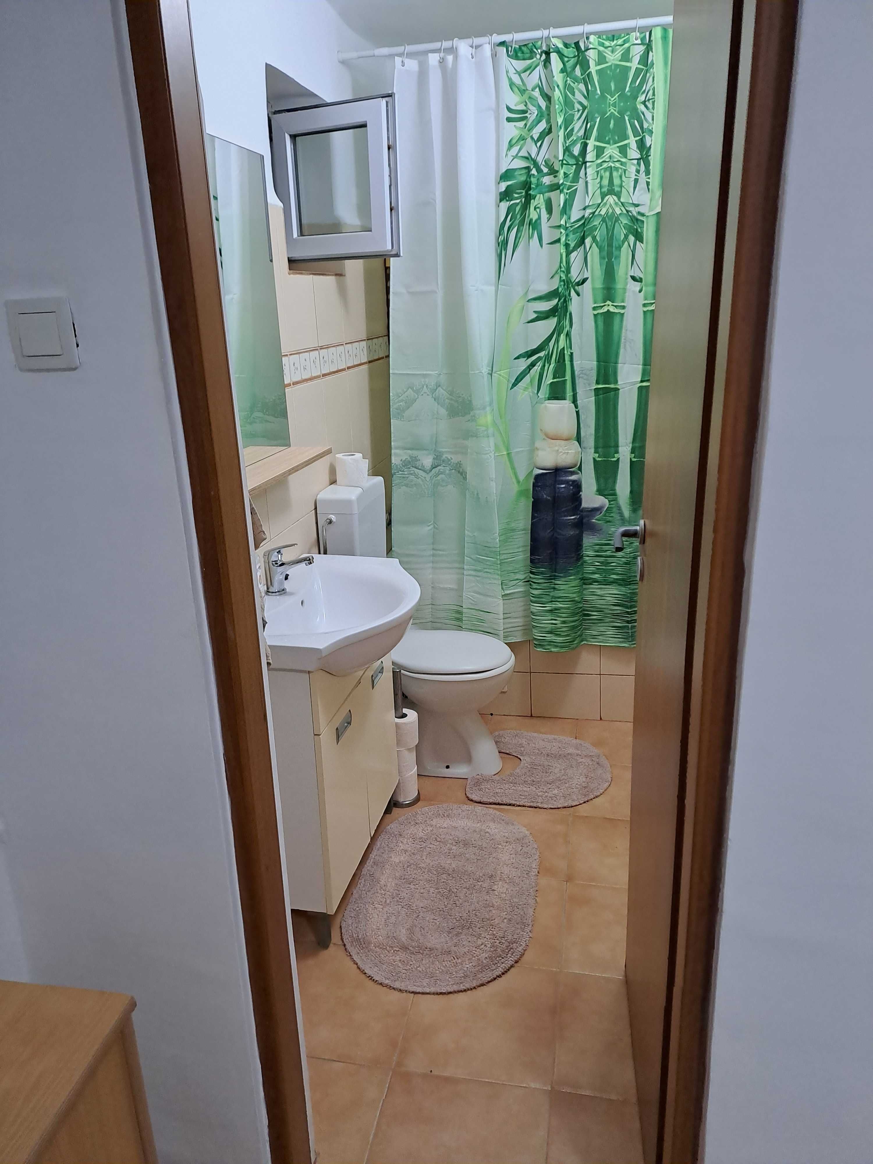 Tomis Nord apartament 2 camere mobilat