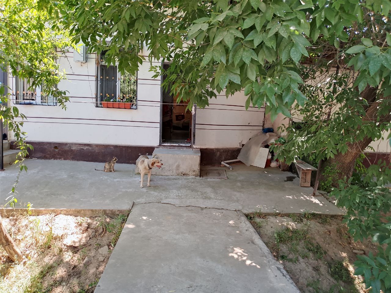 Продаётся коттедж в Мирабадском районе на Куйлюке массив-1.