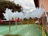 Aranjamente florale