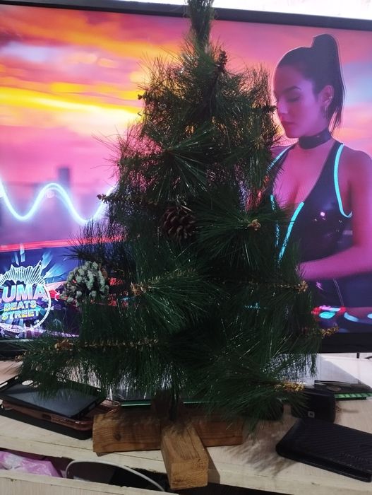 Продаётся Новогодняя ёлка, дёшево!