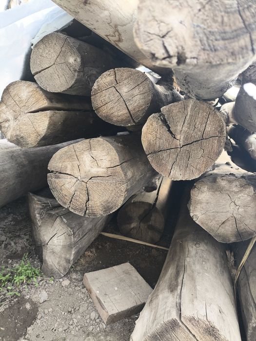 Терек Балкалар сатылады