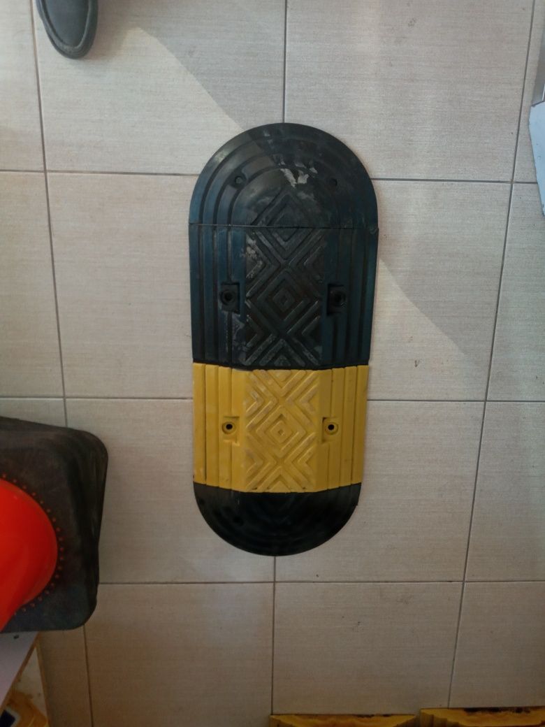 Lejayishi poliseski