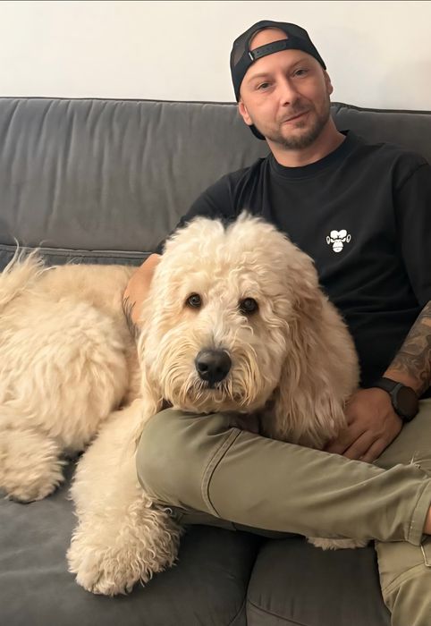 Consiliere și dresaj canin la domiciliu