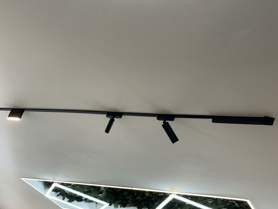 Sina magnetica, proiector