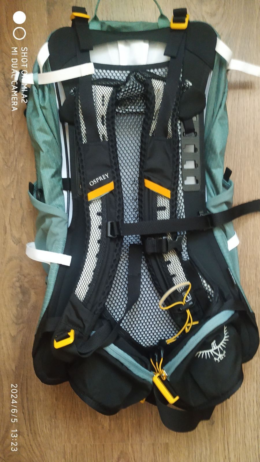 Osprey Sirrus 24 Succulent Green O/S