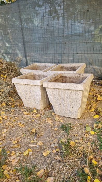 Гул тубак гаршок