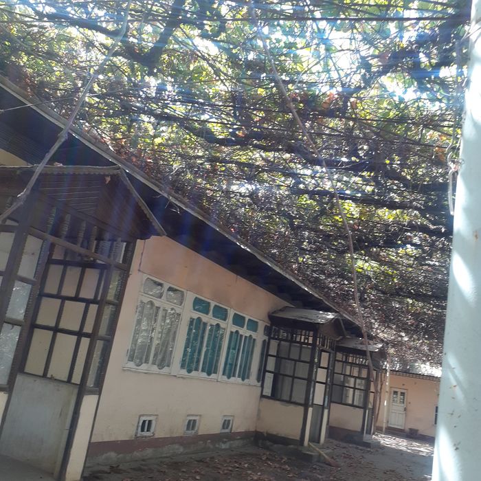 Sariosiyo t bo'yrapo'sht m 250 uy barcha sharoitlarga ega  honadon
