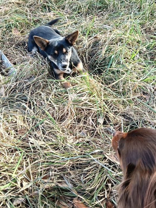 Малышка ищет любящую семью