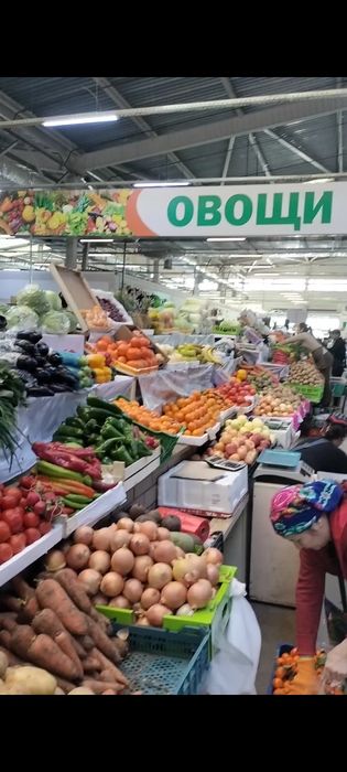 Орын.  Места…………