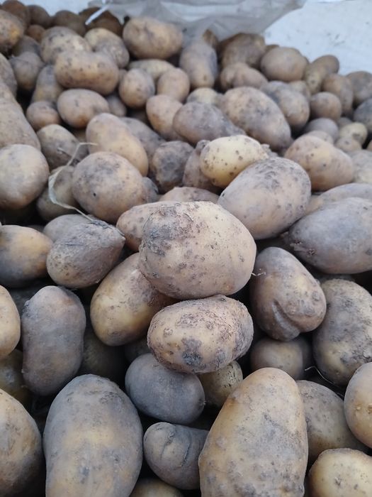 Vand cartofi pt animale