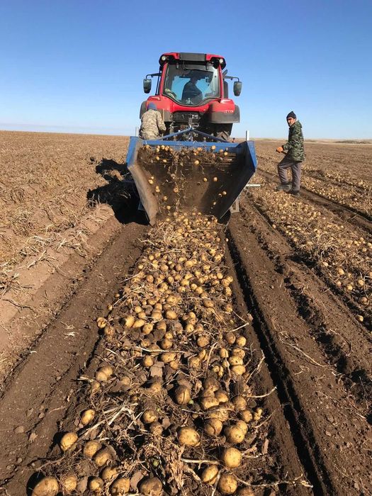 Копатель корнеплодов Asa Lift WR-135