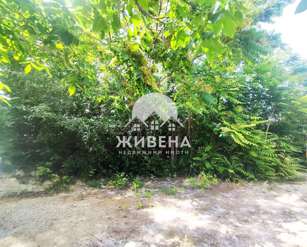 Продава се Парцел в Балчик - 868 кв.м за 26 €/кв.м - Снимка #3