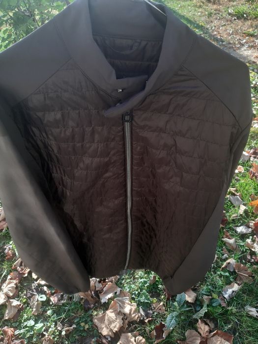 Jacheta ferrini barbateasca 50