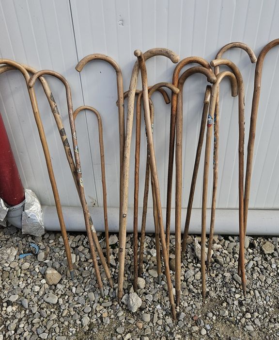 Baston vintage lemn de Hickory / Stejar