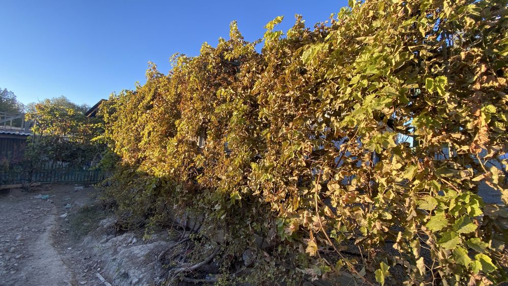 Срочно продается дом по улице Торайгырова 157.