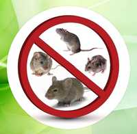 Дезинфекция дератизация против мышей и грызунов.