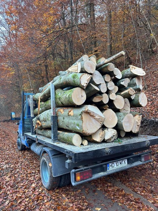 Lemn de Foc FAG !!!Tot judetul! Cele mai bune Preturi!!