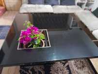 Masa sufragerie ,,floating table,,Saporitti Italia