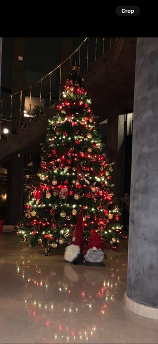 Коледна елха - 3 метра висока