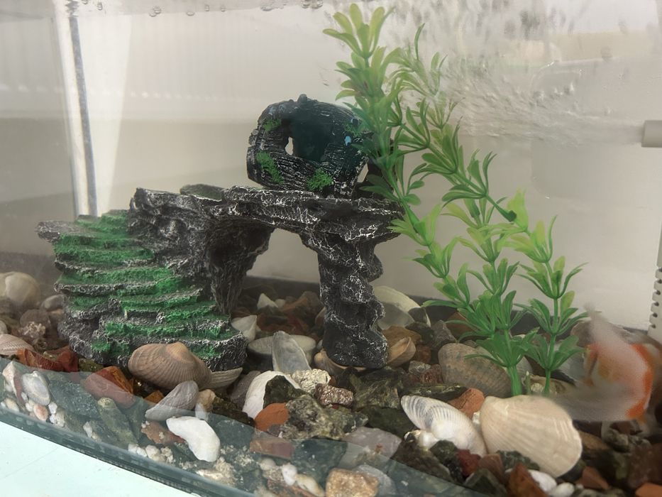 Аквариум все в комплекте