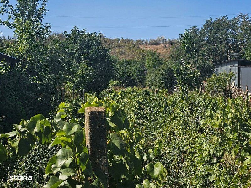 Teren 1800 mp + casa batraneasca - Fartanesti, jud. Galati