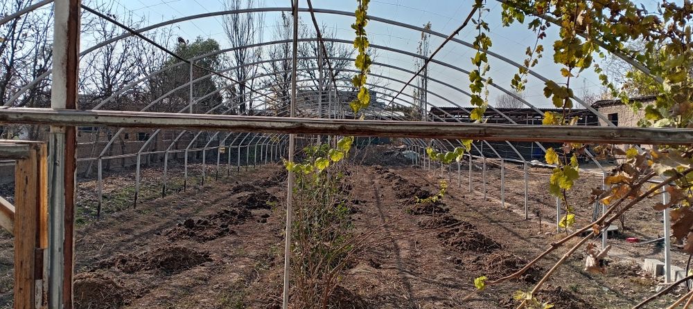 Issiqxona.sotiladi yoki bulib tulashga bervoraman