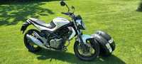 Suzuki gladius  A2 650