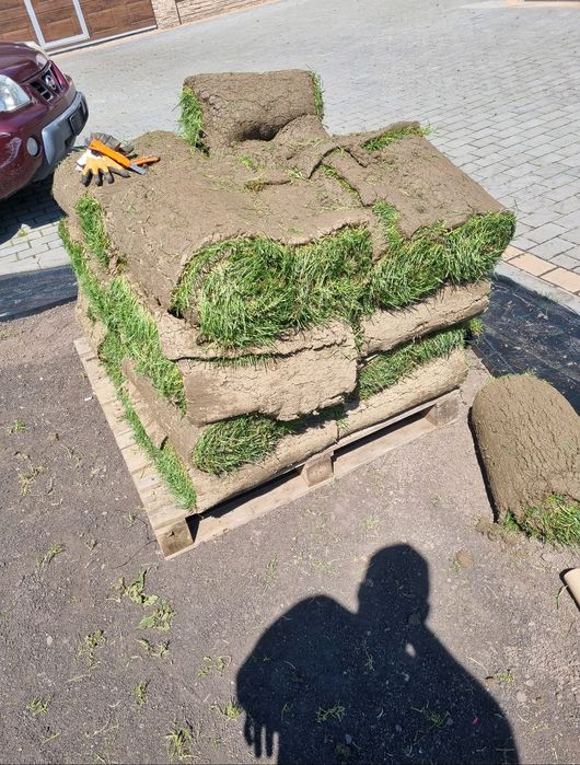 Amenajare grădini/irigații/plante