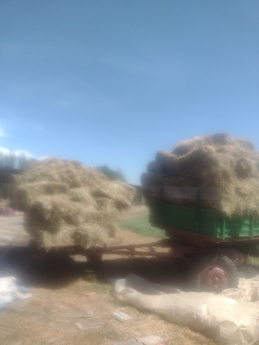 Cititi bine anuntu vand  baloți de lucerna  POMPOSA  impreunata cu fan