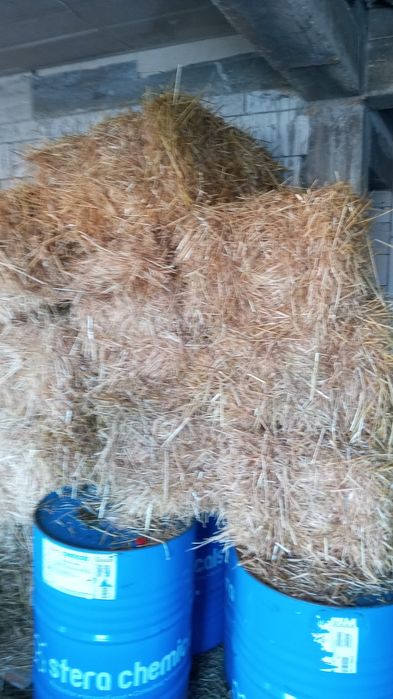 Paie baloți mici dreptunghiulari corbu cta transport ccost