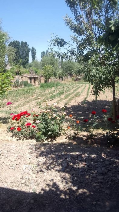 5 хонали уй сотилади сурочна