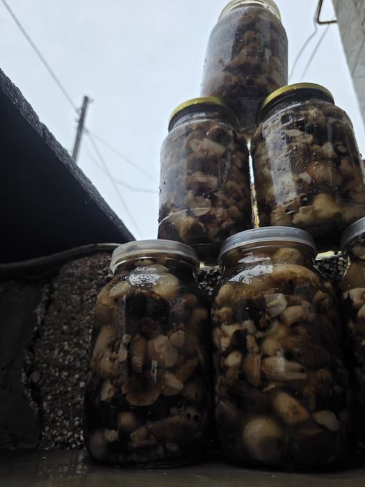 Продам грибы? валуи солёные.