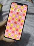 iPhone 13 Pro Silver, 256GB – Funcțional, spate spart