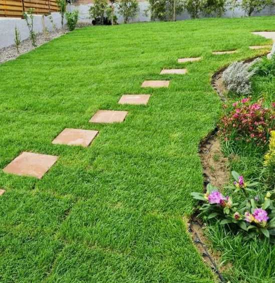 Gazon Rulou Sport premium