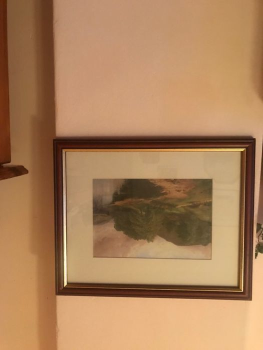 Продавам красива картина