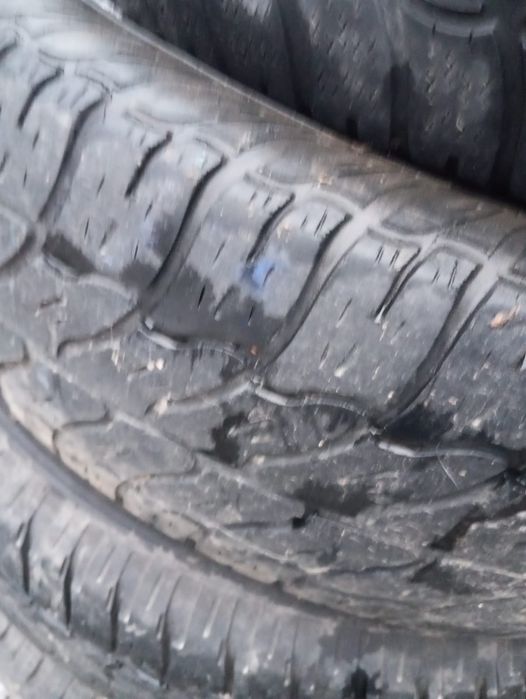 продам резину летнюю