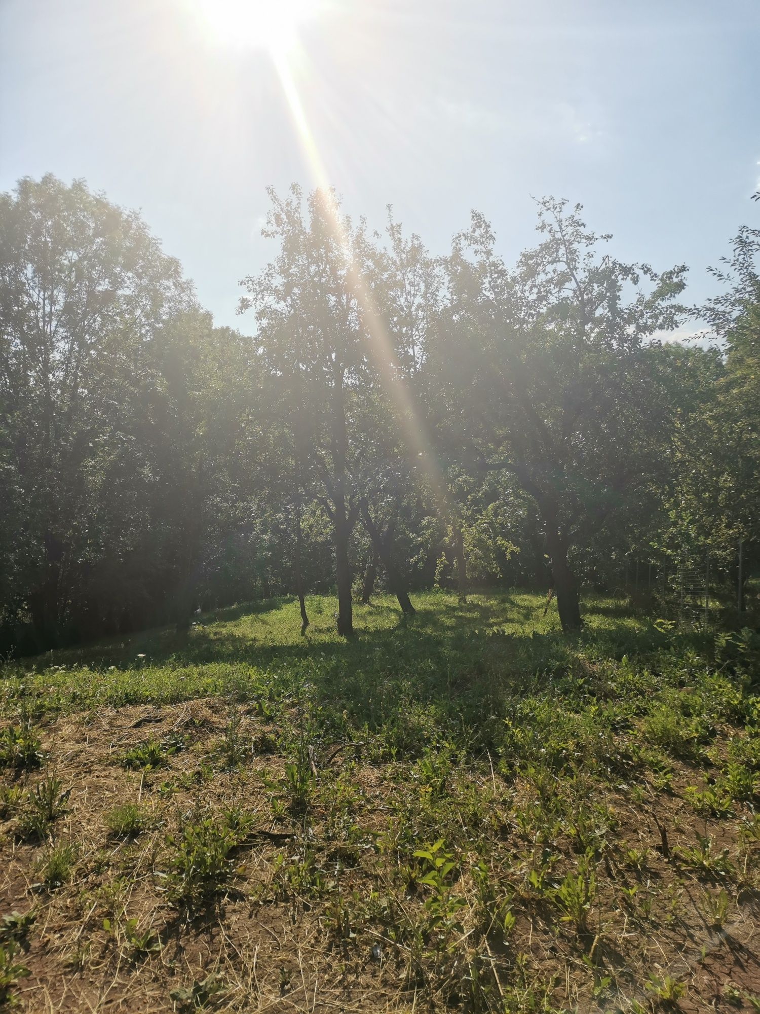Închiriez teren intravilan in Comarnic