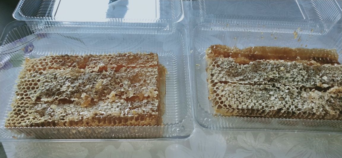 Мёд курай жантак