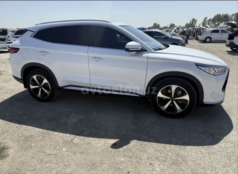 Byd song plus gibrid 2-pozitsa