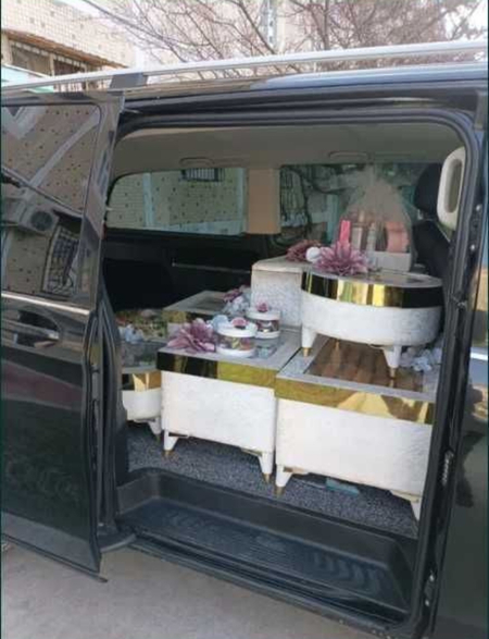 Sarpo tashish raddom mercedes vito