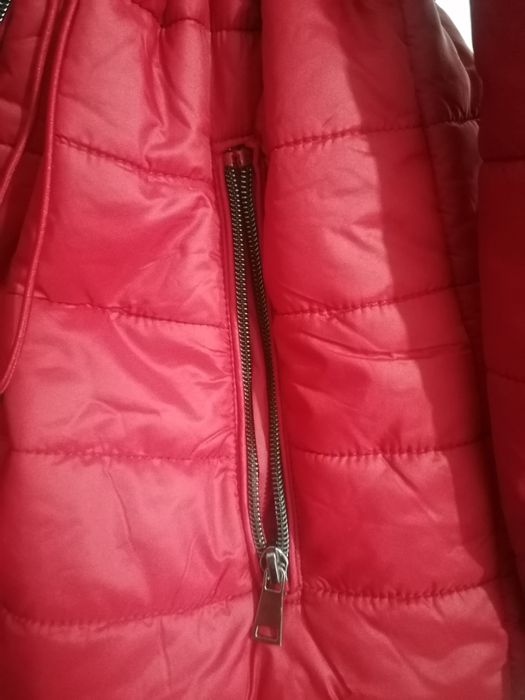 Haina  matlasata  lunga