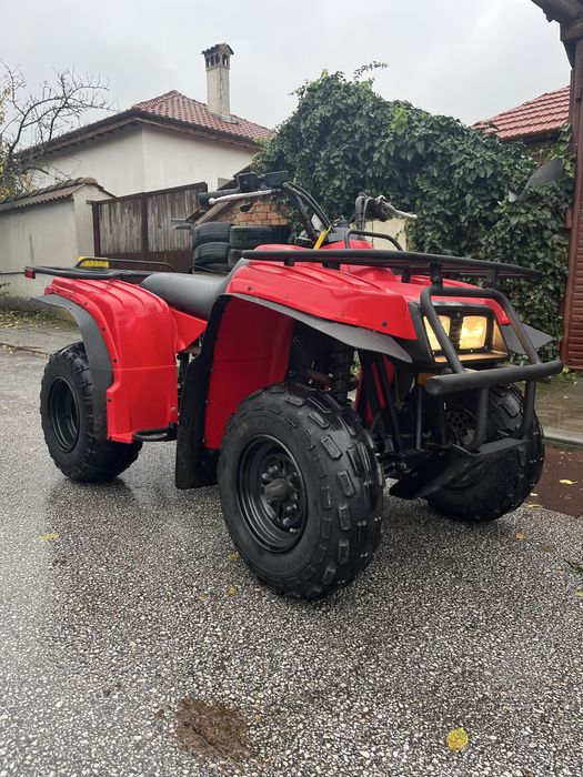 Yamaha Bear tracker 2x4