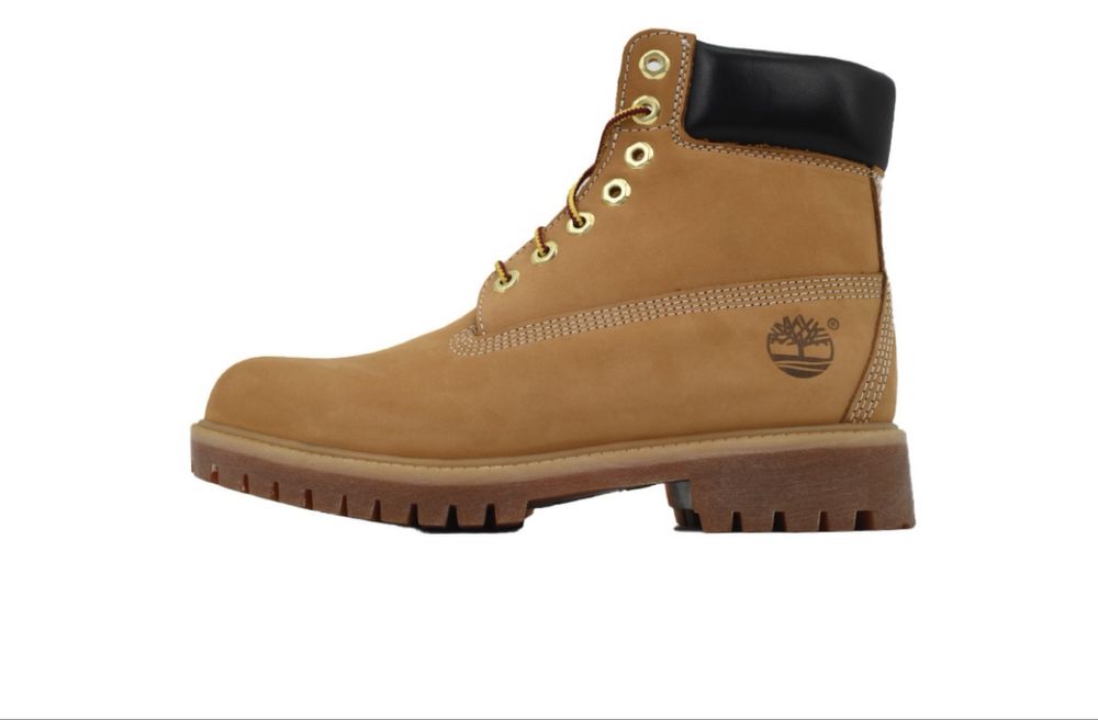 Timberland 6-in