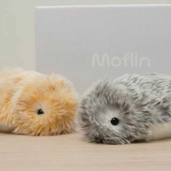 Moflin - питомец с ИИ и эмоциями